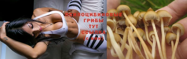 дурь Верхнеуральск